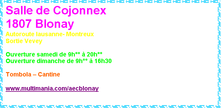 Zone de Texte: Salle de Cojonnex 19 et 20 octobre 2002
1807 Blonay
Autoroute lausanne- Montreux
Sortie Vevey

Ouverture samedi de 9h  20h
Ouverture dimanche de 9h  16h30

Tombola  Cantine

www.multimania.com/aecblonay 
